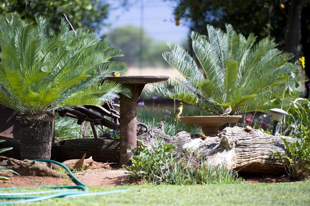 Boschfontein Guest Farm Vila Thabazimbi Exterior foto